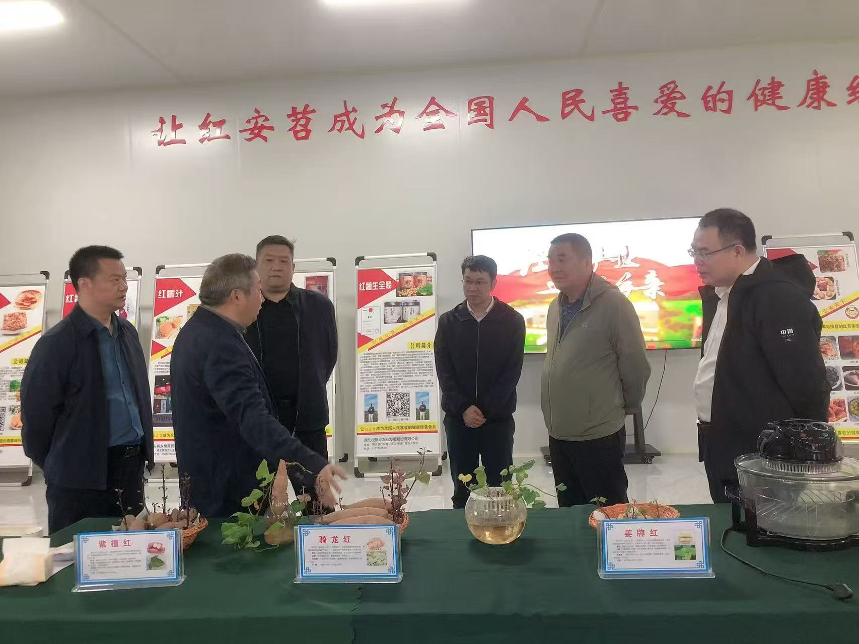 湖北省科學技術協會 驅動新材料技術推廣，服務產業創新發展